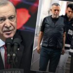Erdogandan haluk levent hakkinda ilk yorum Ad5R6S4g