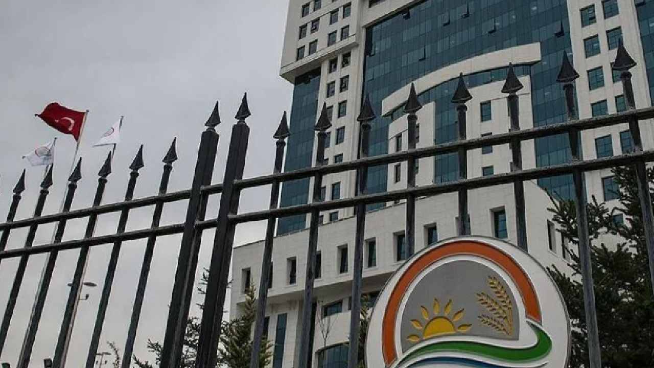 Tarım ve Orman Bakanlığına bin 874 sözleşmeli personel alınacak Img