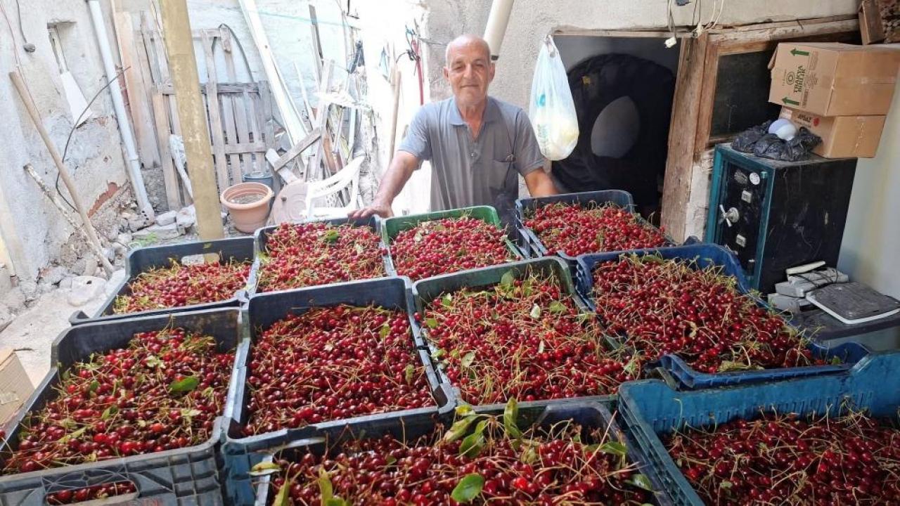 Kilosu 40 TL, işçi yevmiyesini bile karşılamıyor! Img